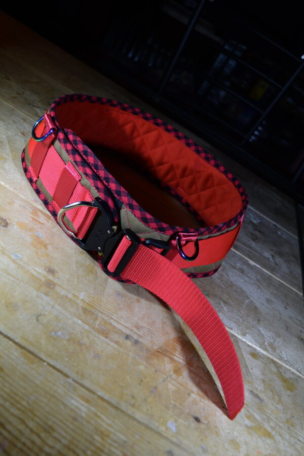 Treemans Belt Red Picnic